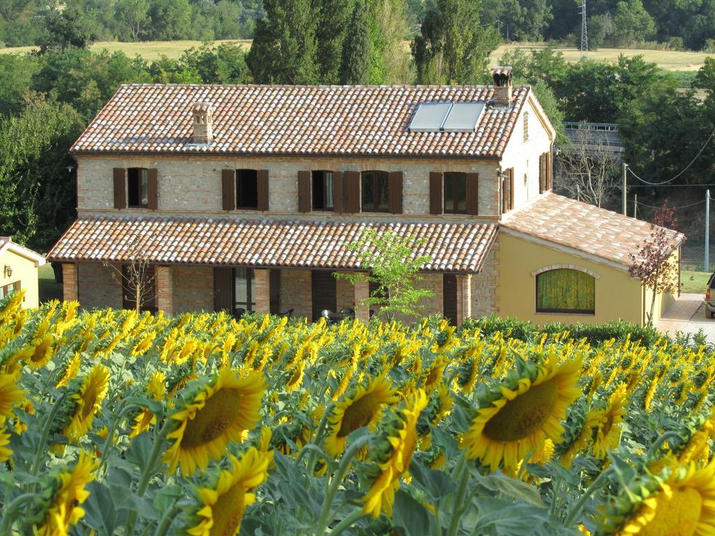 בית הארחה Castelbellino 	Agriturismo La Vecchia Fonte מראה חיצוני תמונה