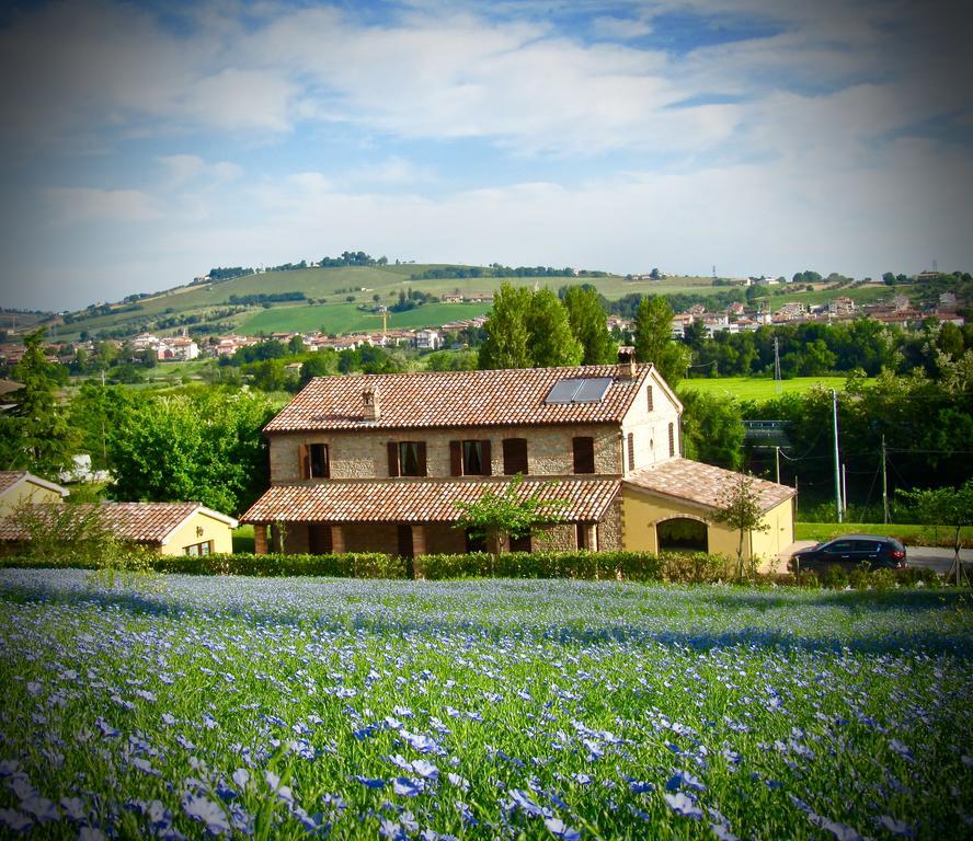 Castelbellino Agriturismo La Vecchia Fonte מראה חיצוני תמונה